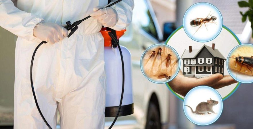 Emirgazi Böcek İlaçlama