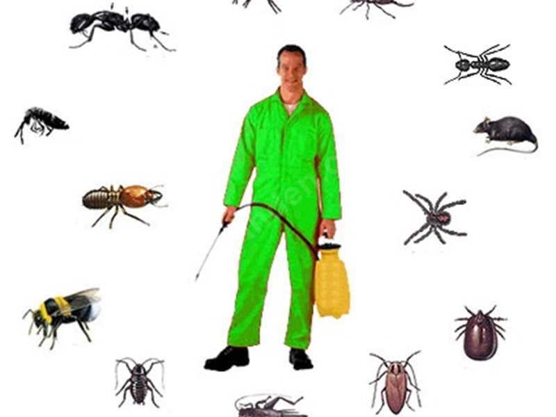 Emirgazi Böcek İlaçlama